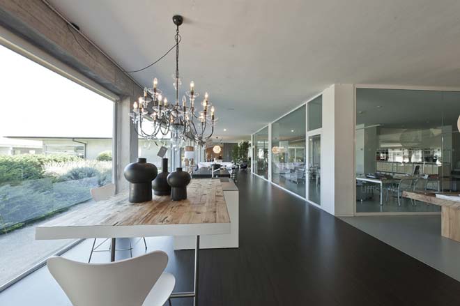 cumini_design_2 cumini_design_2